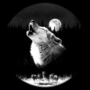 Benutzer-Avatarbild