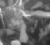 Benutzer-Avatarbild